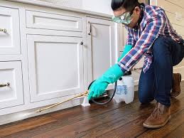 Best Pest Control for Multi-Family Homes  in Williston, FL